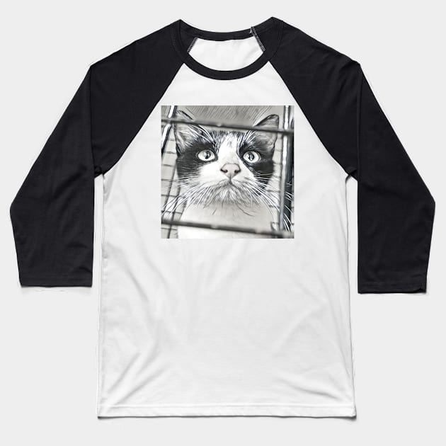 SELFIE CAT BLACK AND WHITE Baseball T-Shirt by CATUNIVERSE